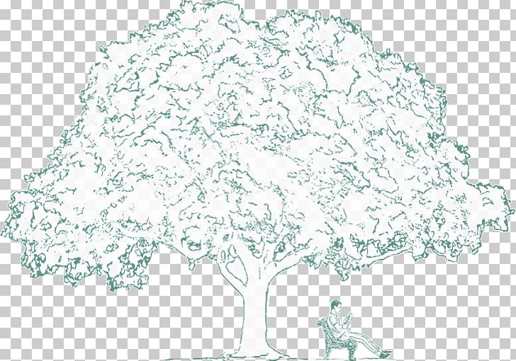 Line Art Point Flowering Plant Leaf PNG, Clipart, Area, Art, Branch, Branching, Drawing Free PNG Download