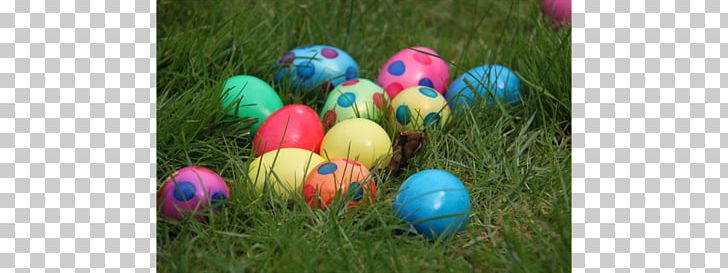 Easter Bunny Easter Bilby Egg Hunt Easter Egg PNG, Clipart, Balloon, Child, Easter, Easter Bilby, Easter Bunny Free PNG Download