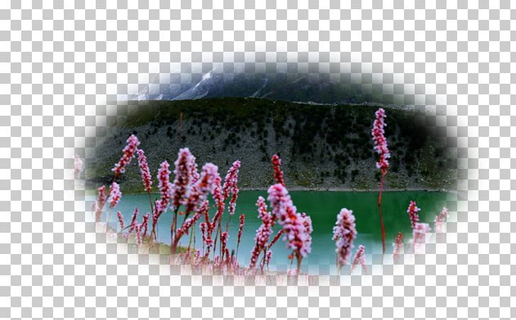Lake Desktop Spring Mountains Flower Landscape PNG, Clipart, Dag, Desktop Environment, Desktop Wallpaper, Flow, Grass Free PNG Download