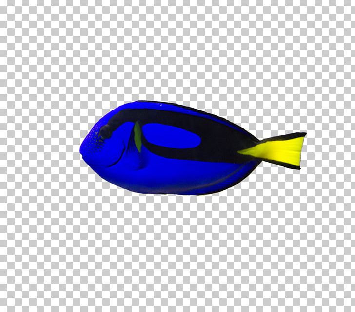 Brown Tang Blue Tang Reef Aquarium Ikan Debam Goggles PNG, Clipart, Blue Devil, Blue Tang, Cobalt Blue, Copperband Butterflyfish, Damselfish Free PNG Download