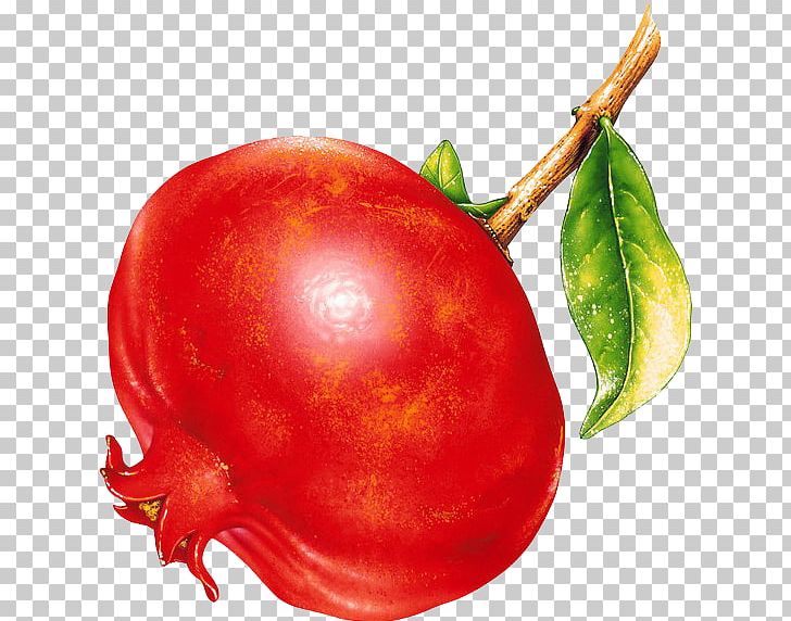 Fruit Pomegranate PNG, Clipart, Accessory Fruit, Cherry, Food, Fruit, Fruit Nut Free PNG Download