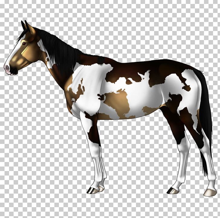 Stallion Mule Foal Mare Mustang PNG, Clipart, Animal Figure, Bit, Bridle, Chestnut, Colt Free PNG Download