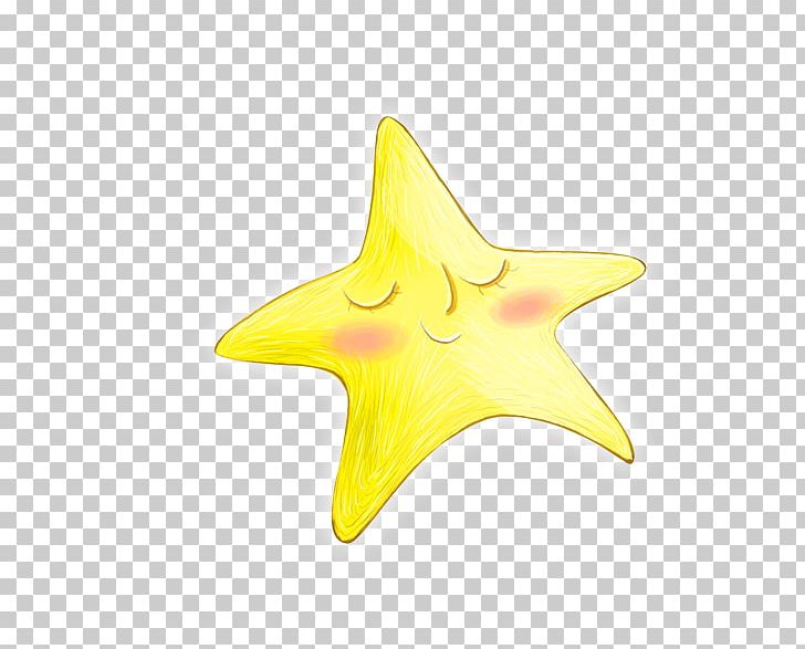 Starfish Yellow Euclidean Icon PNG, Clipart, Animals, Beautiful Starfish, Cartoon Starfish, Download, Echinoderm Free PNG Download