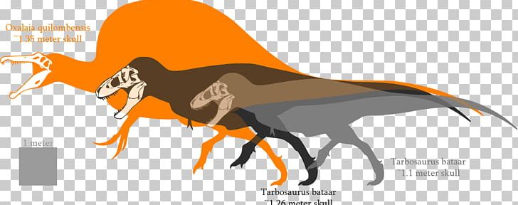 giganotosaurus vs t rex vs spinosaurus