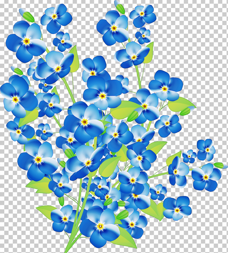 Blue Flower Plant Borage Family PNG, Clipart, Blue, Borage Family, Flower, Plant Free PNG Download