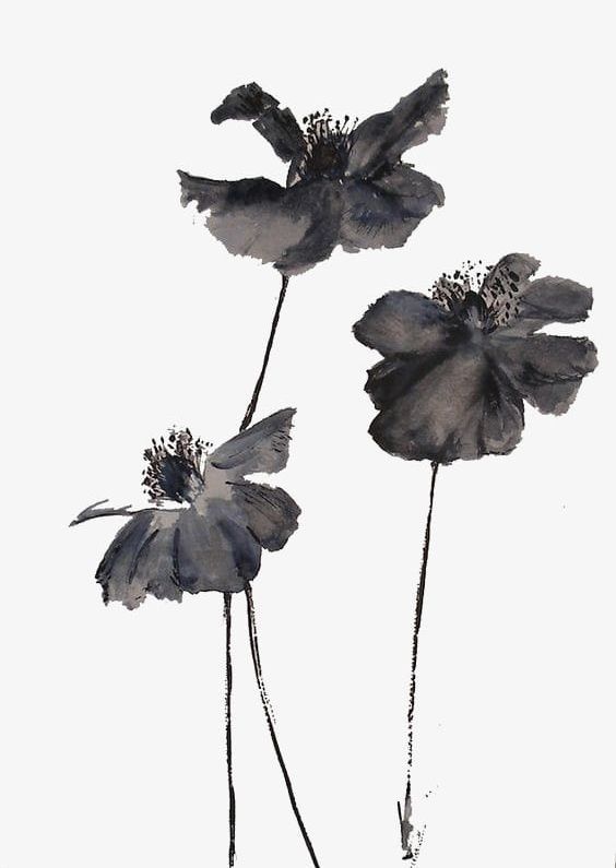 Black Ink Flowers PNG, Clipart, Black, Black Clipart, Black Clipart, Black Flowers, Decorated Free PNG Download