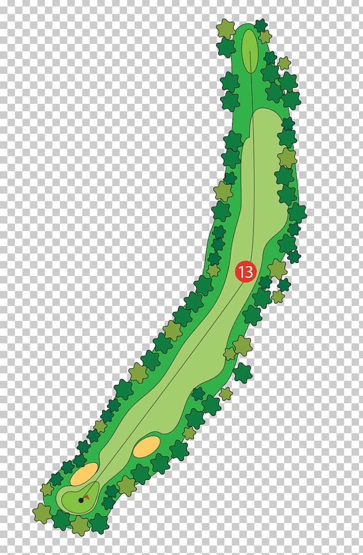 Golf Course Golf Tees Wood Par PNG, Clipart, Average, Camberwell, Freeway Golf Course, Golf, Golf Clubs Free PNG Download