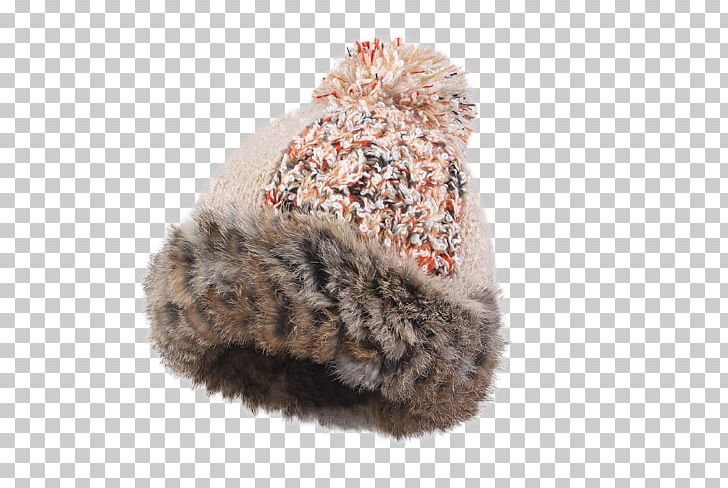 Hat Knit Cap Winter PNG, Clipart, Animal Product, Autumn, Autumn Leaves, Blending, Bonnet Free PNG Download