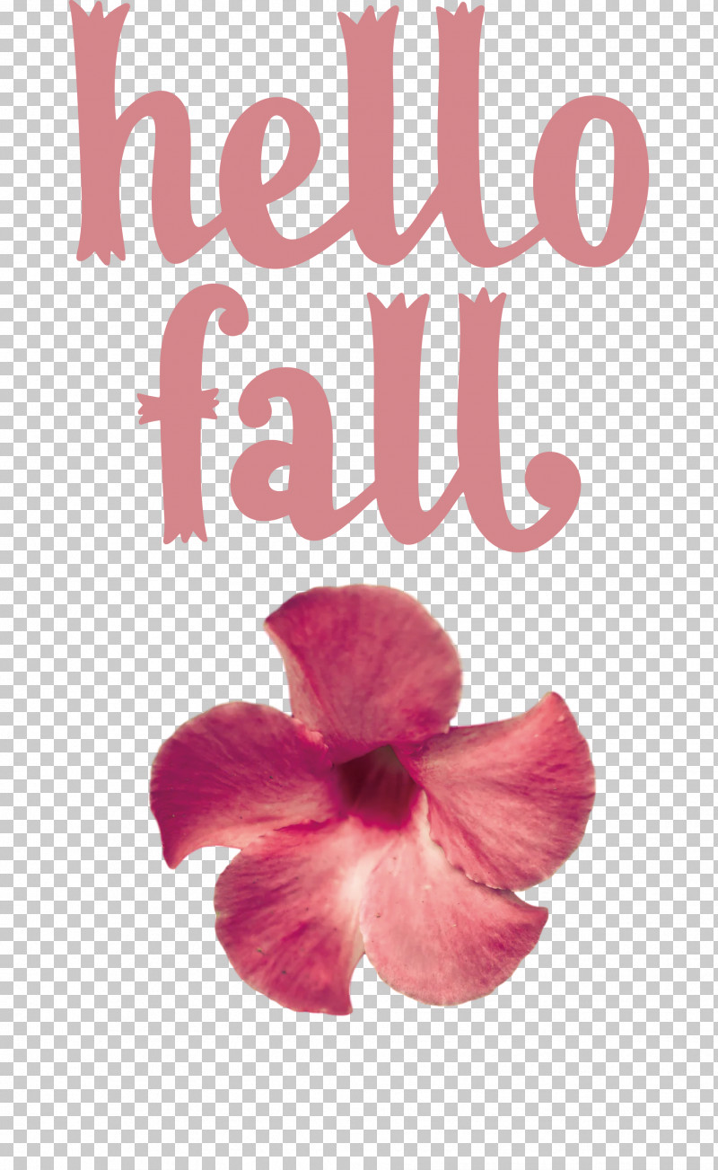 Hello Fall Fall Autumn PNG, Clipart, Autumn, Biology, Cut Flowers, Fall, Floral Design Free PNG Download