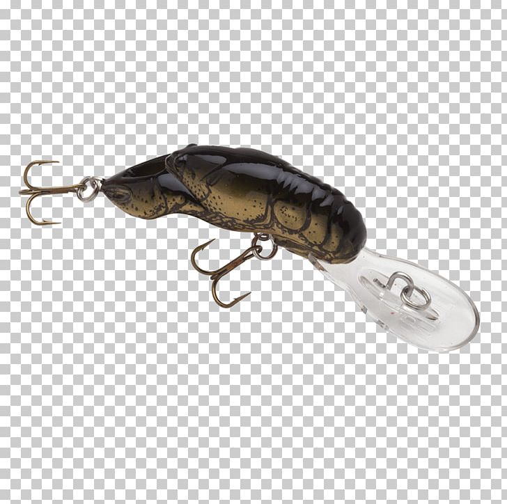 Spoon Lure Insect Product Design PNG, Clipart, Ac Power Plugs And Sockets, Animals, Bait, Craw, Fishing Bait Free PNG Download