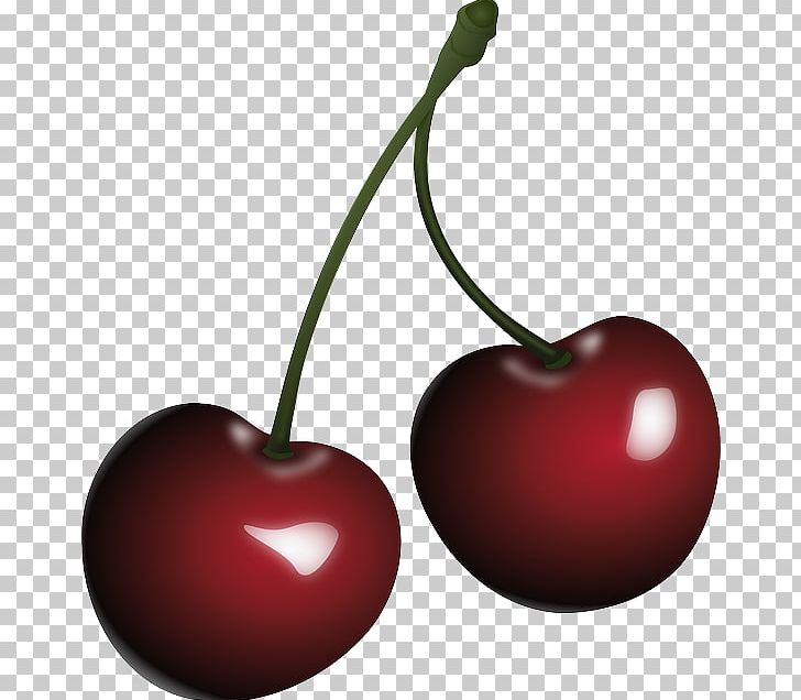 Black Cherry PNG, Clipart, Black Cherry, Cherry, Computer Icons, Download, Food Free PNG Download