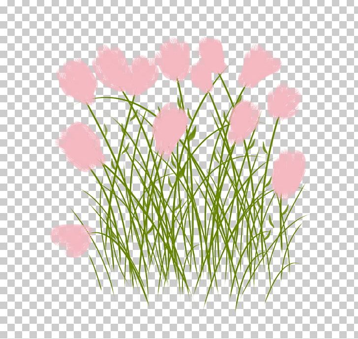 Flower Tree Petal PNG, Clipart, Bauhinia, Bunga, Clip Art, Digital Image, Drawing Free PNG Download