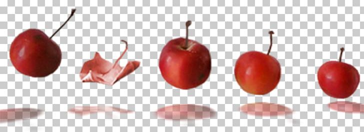 Manzana Verde Apple Auglis PNG, Clipart, Apple, Apple Fruit, Apple Logo, Apples, Apple Tree Free PNG Download