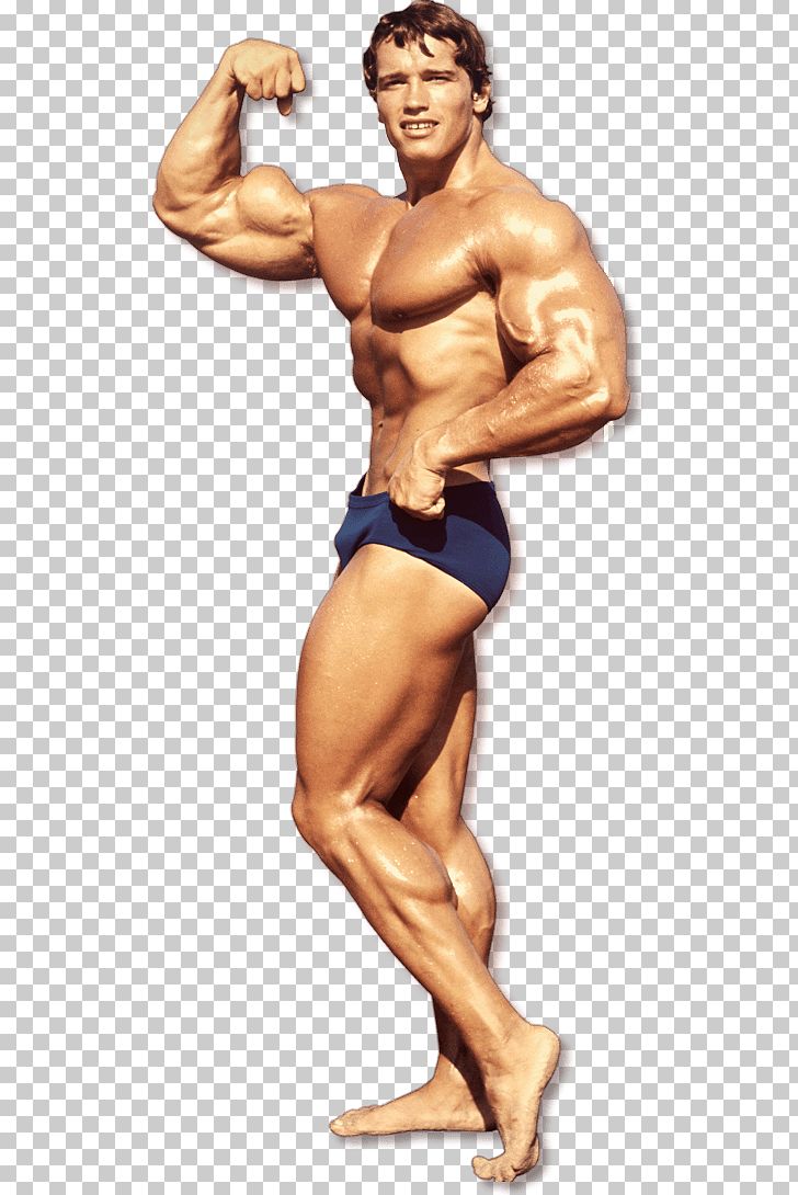 Arnold Schwarzenegger Bodybuilding Dietary Supplement Mr. Olympia Physical Exercise PNG, Clipart, Abdomen, Arm, Bodybuilder, Bodybuilding Supplement, Fitness Professional Free PNG Download