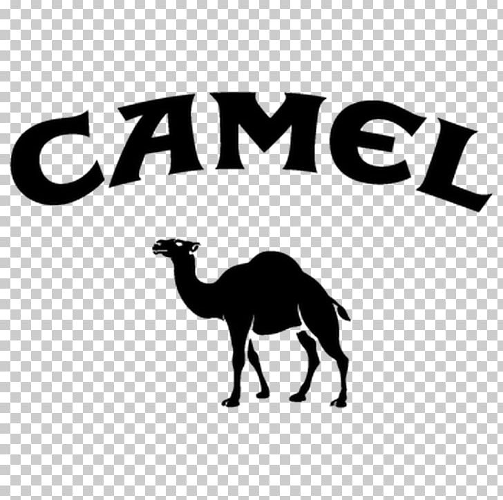 Camel Logo T-shirt Brand PNG, Clipart, Advertising, Animals, Arabian Camel, Benz, Black And White Free PNG Download