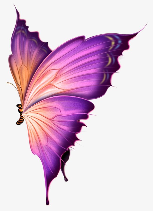 Hand-painted Butterflies PNG, Clipart, Animal, Beautiful, Butterflies,  Butterfly, Butterfly Clipart Free PNG Download
