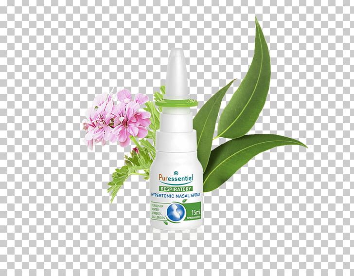 Nasal Spray Nasal Congestion Nose Common Cold Respiratory System PNG, Clipart, Breathing, Common Cold, Decongestant, Hay Fever, Herbal Free PNG Download
