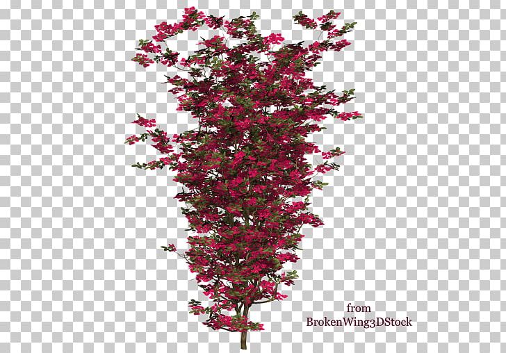 Bougainvillea Shrub Plant Tree Branch PNG, Clipart, Art, Bougainvillea, Bougainville Island, Branch, Branch Plant Free PNG Download