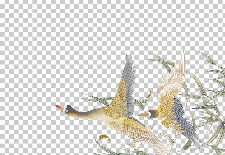 China Chinese Painting Bird-and-flower Painting PNG, Clipart, Animal, Art, Asuka, Beak, Bird Free PNG Download