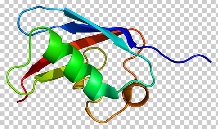 FAF1 Fas Receptor Gene Protein Fas Ligand PNG, Clipart, 8 C, Antigen, Cd40, Dna, Faf Free PNG Download