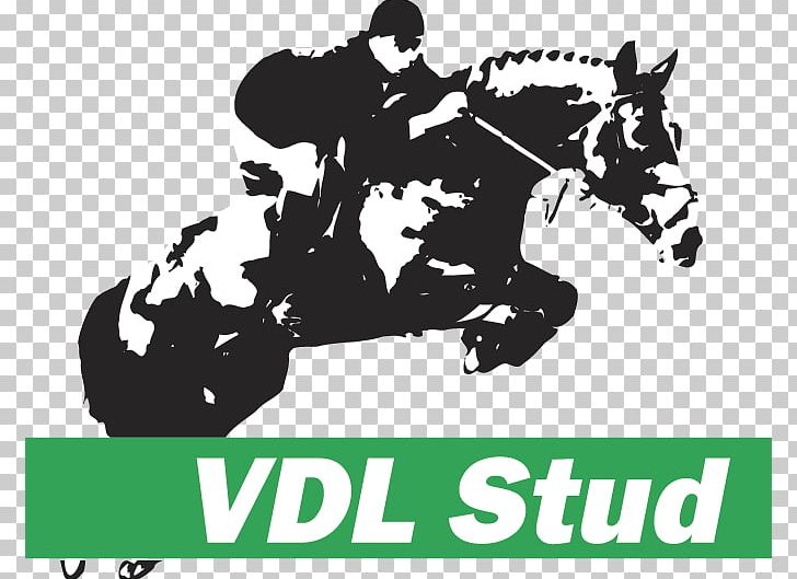 VDL Stud Horse Leeuwarden VDL Groep Bearsterdyk PNG, Clipart, Animals, Black, Black And White, Brand, Bridle Free PNG Download