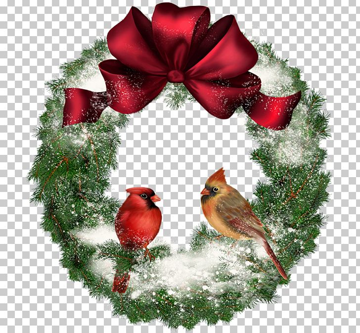 Christmas Wreath PNG, Clipart, Bird, Cardinal, Christmas, Christmas Clipart, Christmas Decoration Free PNG Download