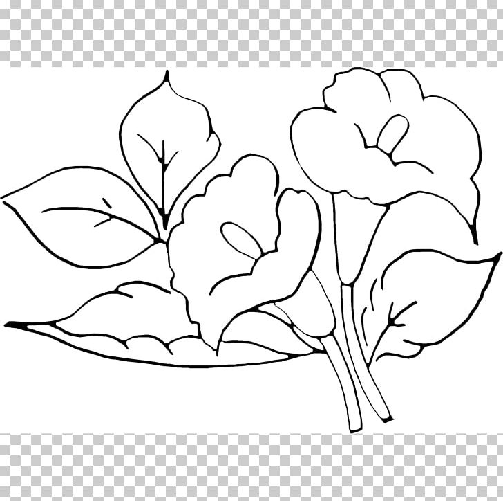 Drawing Painting Art Textile PNG, Clipart, Art, Artwork, Arumlily, Black, Black And White Free PNG Download