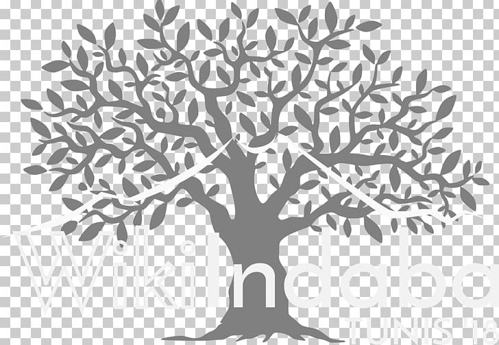 Olive Leaf Graphics Tree Illustration PNG, Clipart, Artwork, Black And White, Branch, Computer Icons, Flora Free PNG Download