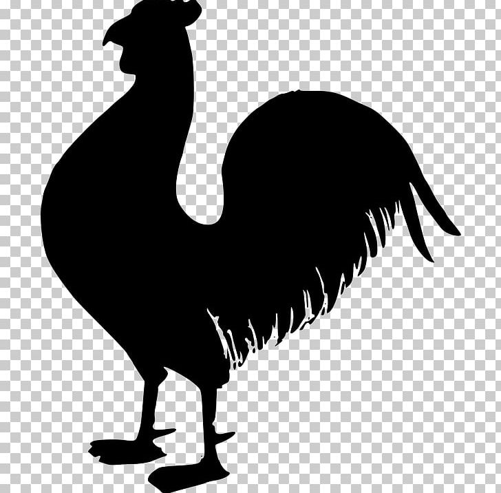Chicken Rooster PNG, Clipart, Animal, Animals, Artwork, Beak, Bird Free PNG Download