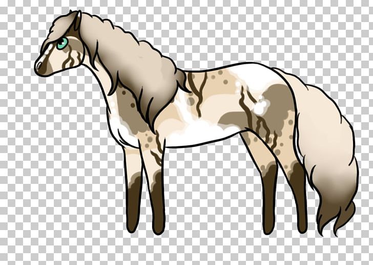 Foal Mane Stallion Mare Colt PNG, Clipart, Ani, Bohemian Rhapsody, Bridle, Colt, Foal Free PNG Download