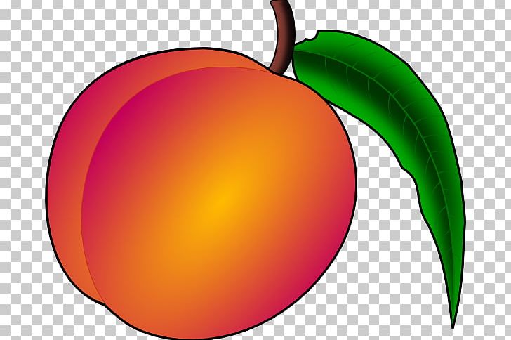 Peach Free Content PNG, Clipart, Apple, Download, Drawing, Flowering Plant, Food Free PNG Download