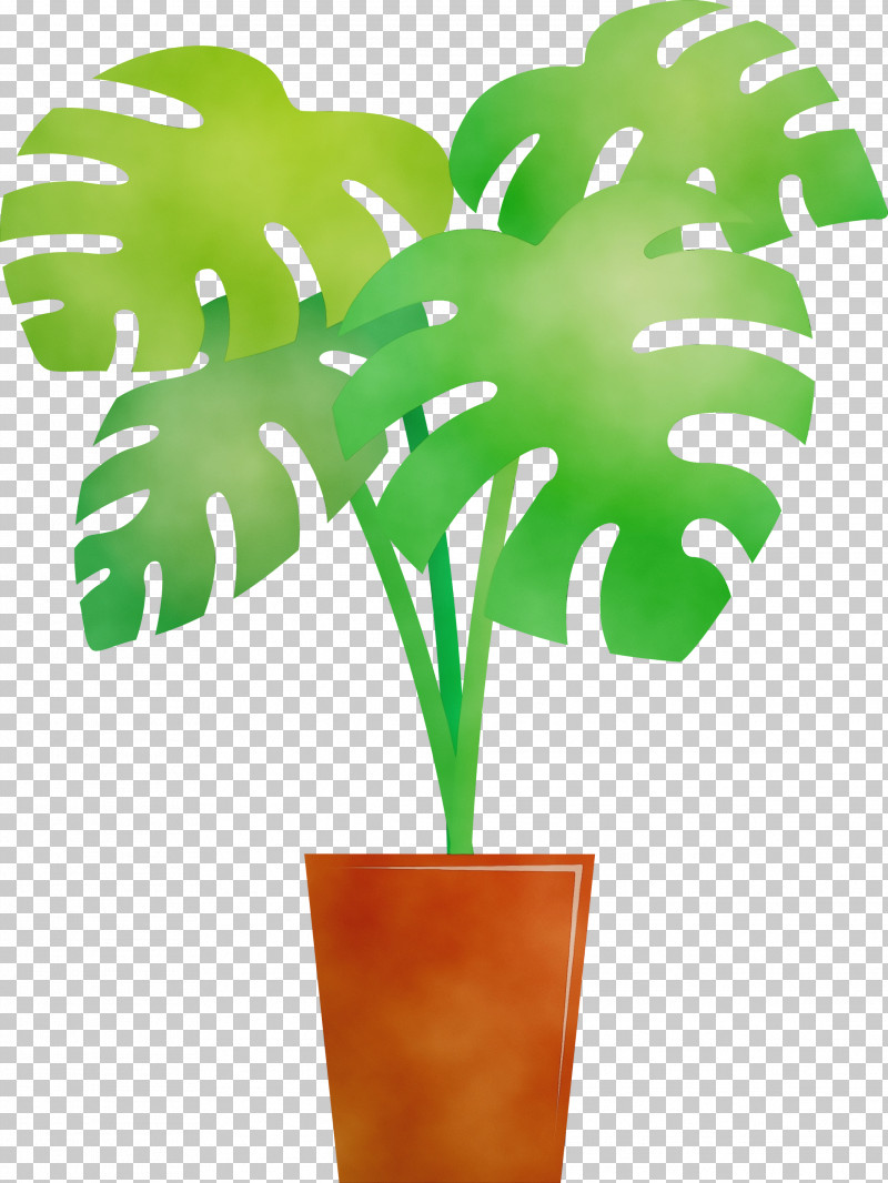 Palm Trees PNG, Clipart, Arecales, Biology, Flowerpot, Green, Leaf Free PNG Download