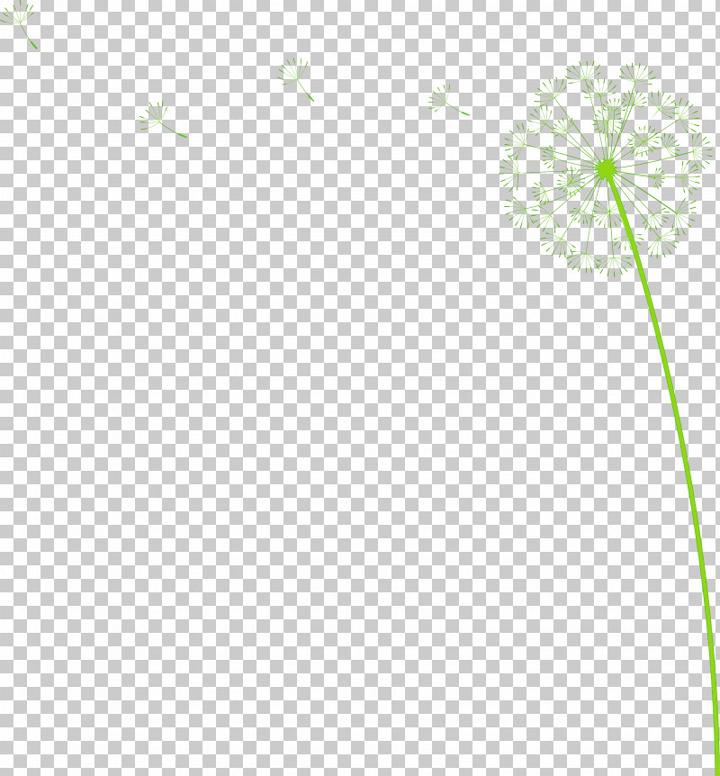 Dandelion PNG, Clipart, Dandelion, Flora, Flower, Green, Leaf Free PNG Download