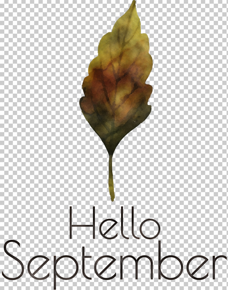 Hello September September PNG, Clipart, Biology, Flower, Hello September, Leaf, Meter Free PNG Download