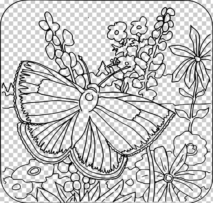 Coloring Book Child Adult Butterfly Page PNG, Clipart, Adult, Area, Art, Black And White, Brush Footed Butterfly Free PNG Download