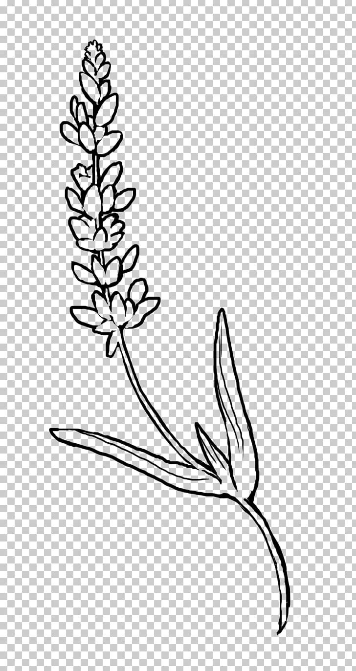 Plant Stem Naver Blog Flower Black And White PNG, Clipart, Area, Art, Black And White, Blog, Branch Free PNG Download