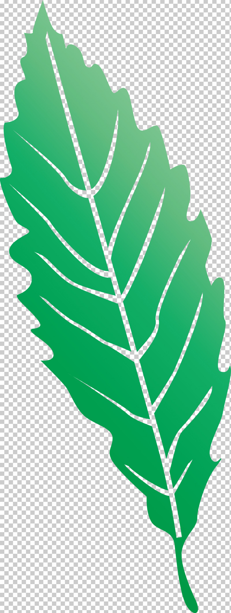 Leaf PNG, Clipart, Biology, Flooring, Geometry, Green, Leaf Free PNG Download