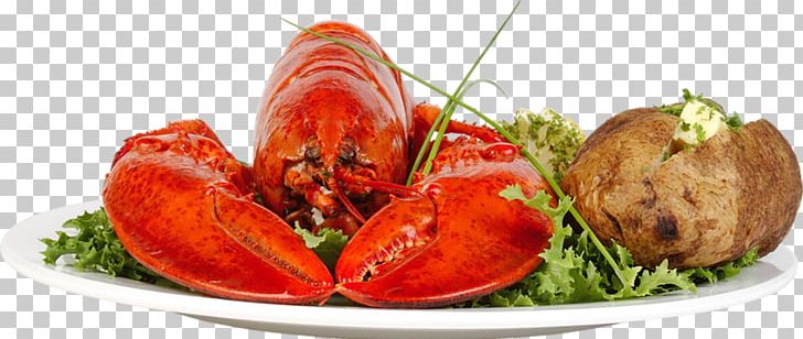 Lobster Dish Shrimp Meat Food PNG, Clipart, Animals, Animal Source Foods, Cartoon Shrimp, Cooked Shrimp, Crab Meat Free PNG Download