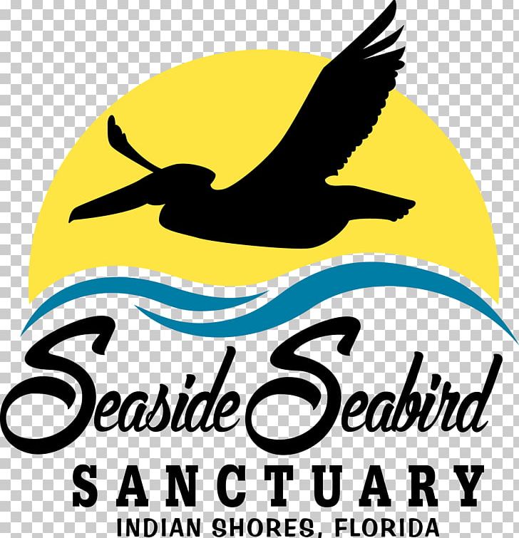 Suncoast Seabird Sanctuary Seaside Seabird Sanctuary Beak Pelican PNG, Clipart, Animals, Arctic Tern, Area, Artwork, Beak Free PNG Download