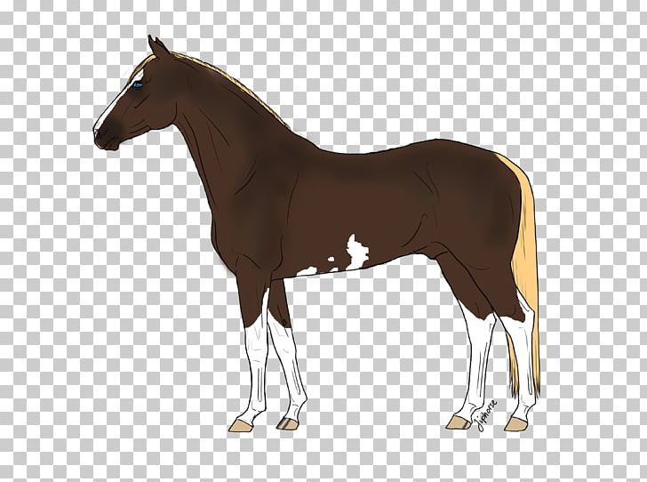 American Quarter Horse Arabian Horse Pony Equestrian Equine Coat Color PNG, Clipart, American Quarter Horse, Animal Figure, Arabian Horse, Breed, Bridle Free PNG Download