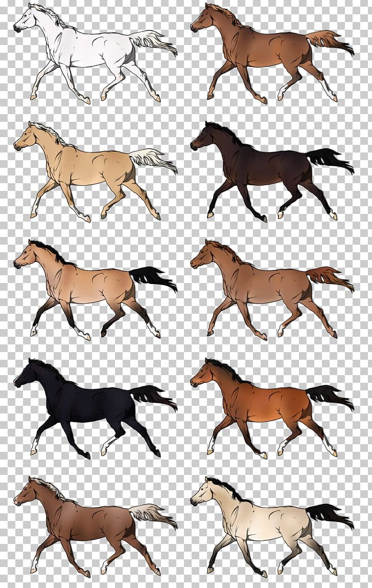 Mustang Stallion Dog Pack Animal Canidae PNG, Clipart, Animal, Animal Figure, Canidae, Carnivoran, Dog Free PNG Download