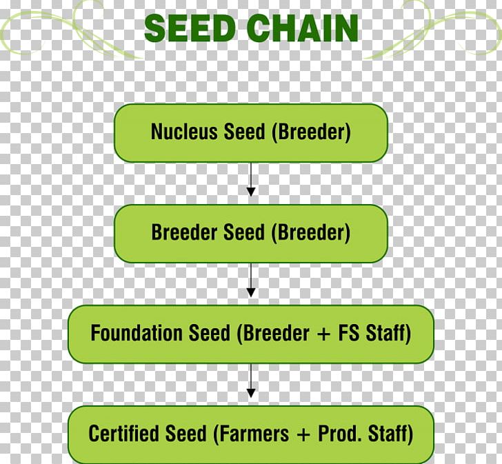 Seed Zlock System Supply Chain Zecurion PNG, Clipart, Angle, Area, Brand, Business, Certification Free PNG Download