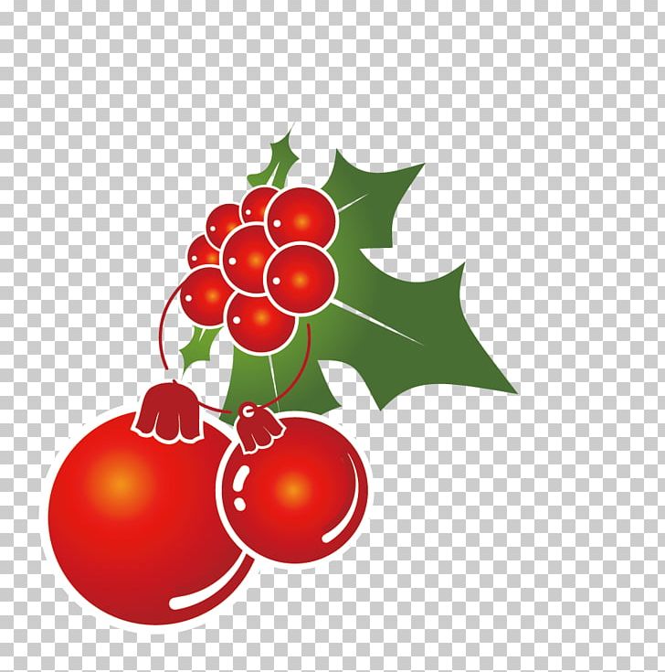 Christmas Ornament PNG, Clipart, Advertising Design, Banner, Cartoon, Cherry, Christmas Decoration Free PNG Download