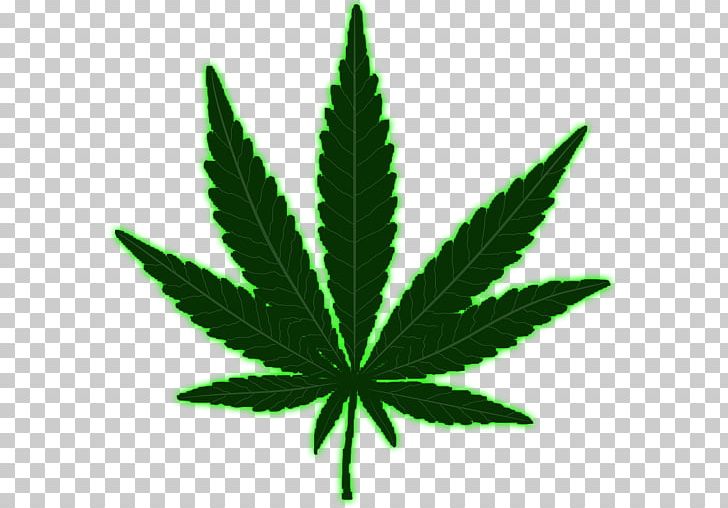 Medical Cannabis Marijuana Leaf Drug PNG, Clipart, Battery, Cannabis, Cannabis Ruderalis, Cannabis Smoking, Drug Free PNG Download