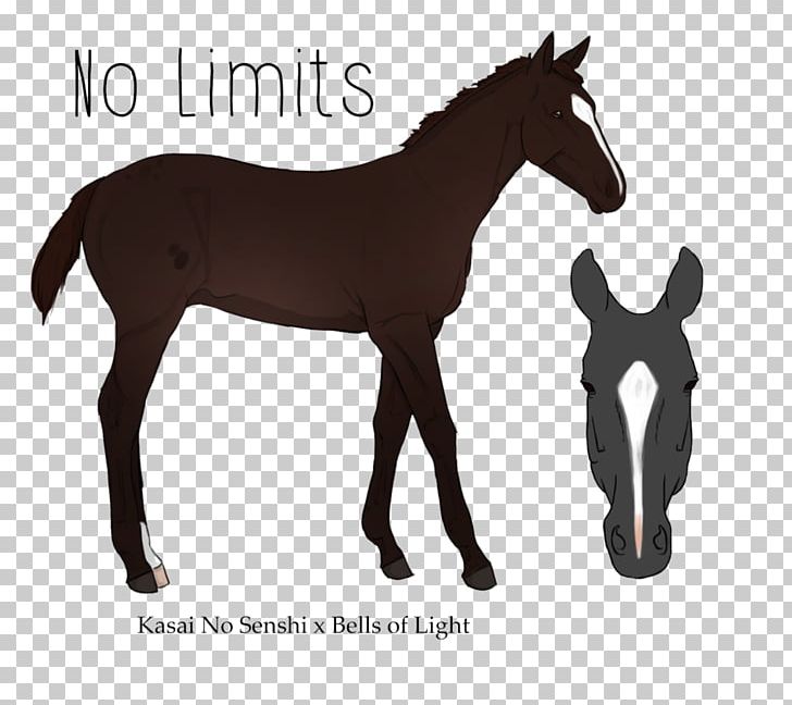 Mustang Foal Stallion Mare Colt PNG, Clipart, Colt, Female, Foal, Halter, Horse Free PNG Download