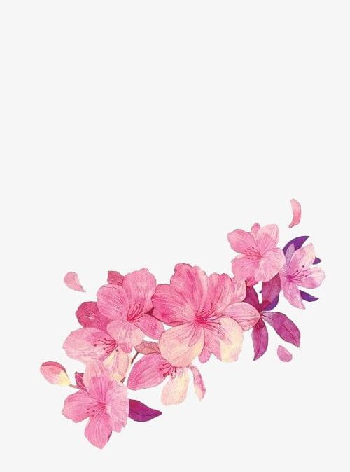 Flowers PNG, Clipart, Flower, Flowers, Flowers Clipart, Flowers Clipart, Flower Vine Free PNG Download