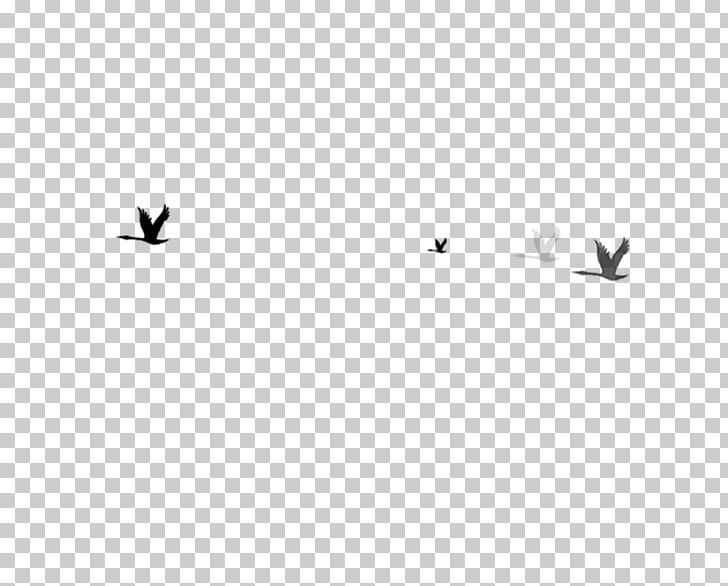 Leaf PNG, Clipart, Angle, Animal, Bird, Birds, Black Free PNG Download