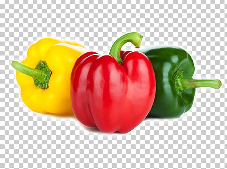 Stuffing Bell Pepper Vegetable Stuffed Peppers Nightshade PNG, Clipart ...