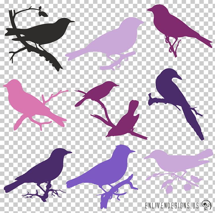 Bird Purple Silhouette Violet Lavender PNG, Clipart, Animals, Beak, Bird, Birds Silhouette, Blue Free PNG Download