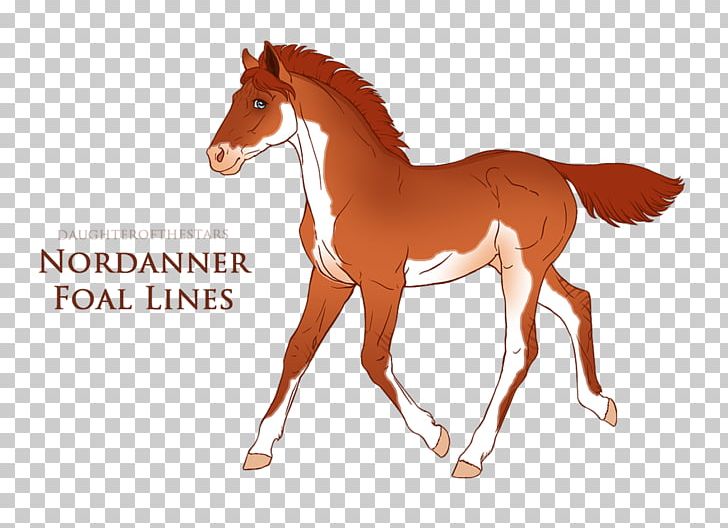 Colt Foal Mustang Stallion Mare PNG, Clipart,  Free PNG Download
